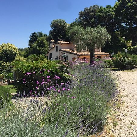 Olivella Villa Campagnano Di Roma Dış mekan fotoğraf