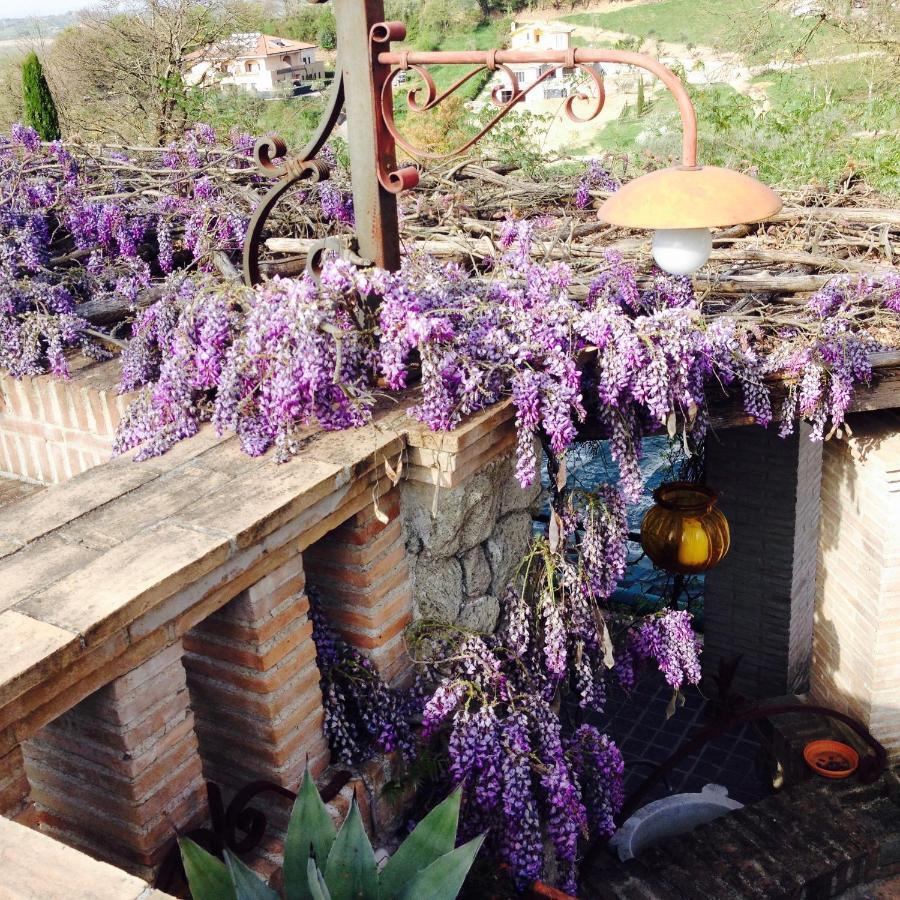 Olivella Villa Campagnano Di Roma Dış mekan fotoğraf