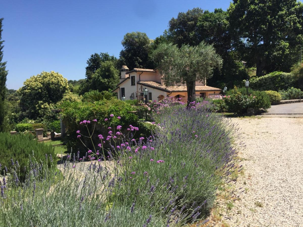 Olivella Villa Campagnano Di Roma Dış mekan fotoğraf