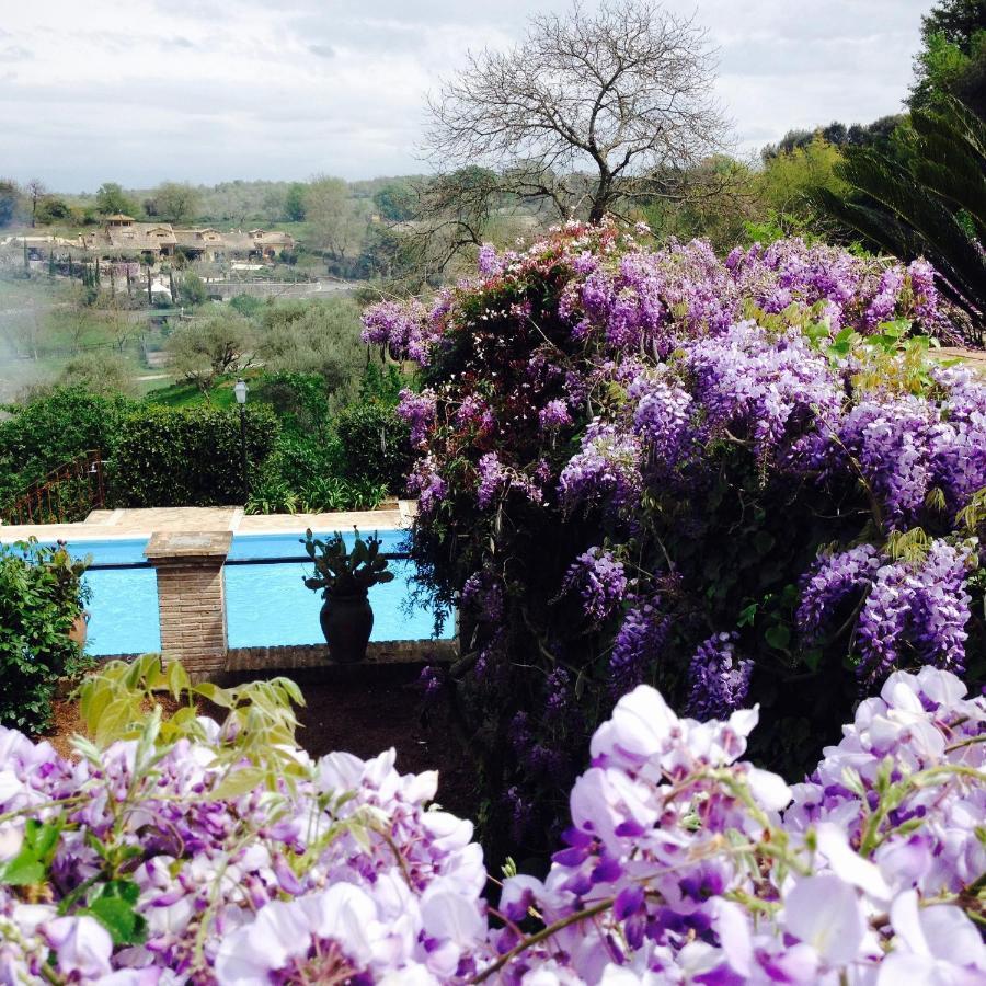 Olivella Villa Campagnano Di Roma Dış mekan fotoğraf