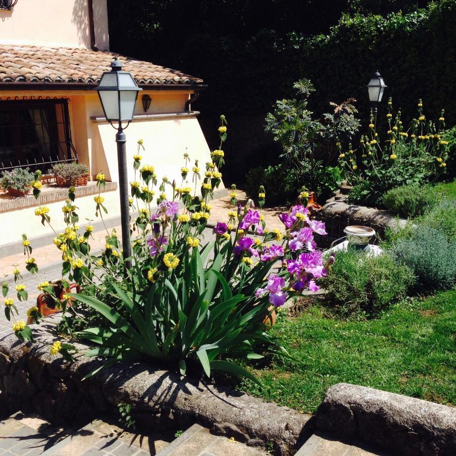 Olivella Villa Campagnano Di Roma Dış mekan fotoğraf