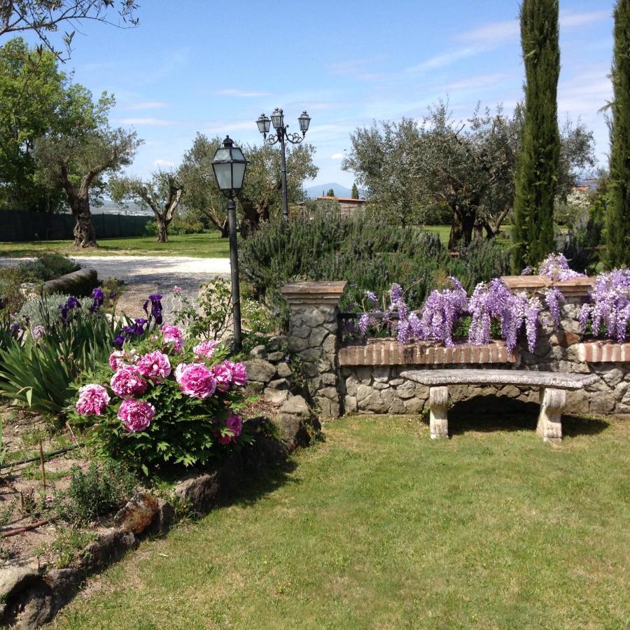 Olivella Villa Campagnano Di Roma Dış mekan fotoğraf