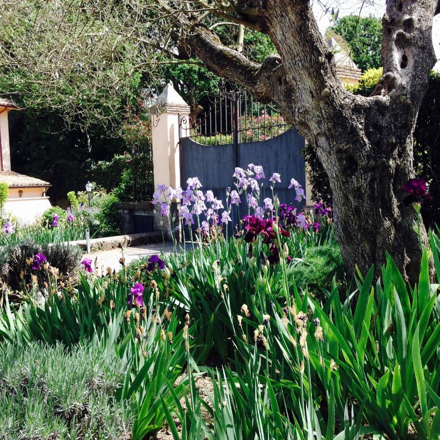 Olivella Villa Campagnano Di Roma Dış mekan fotoğraf