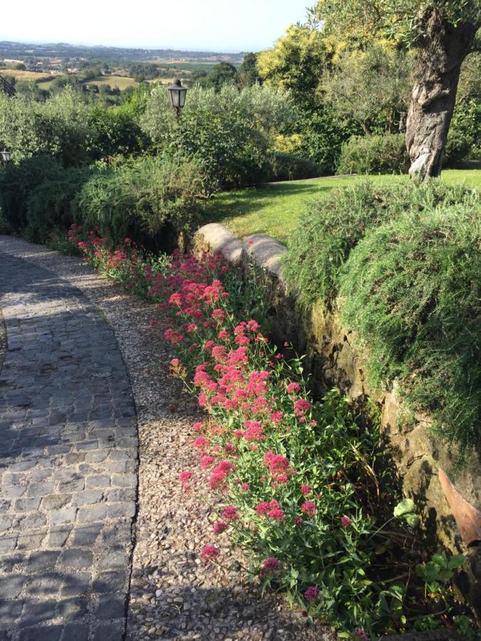 Olivella Villa Campagnano Di Roma Dış mekan fotoğraf