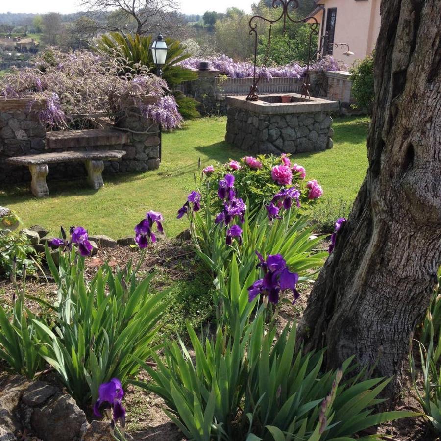 Olivella Villa Campagnano Di Roma Dış mekan fotoğraf