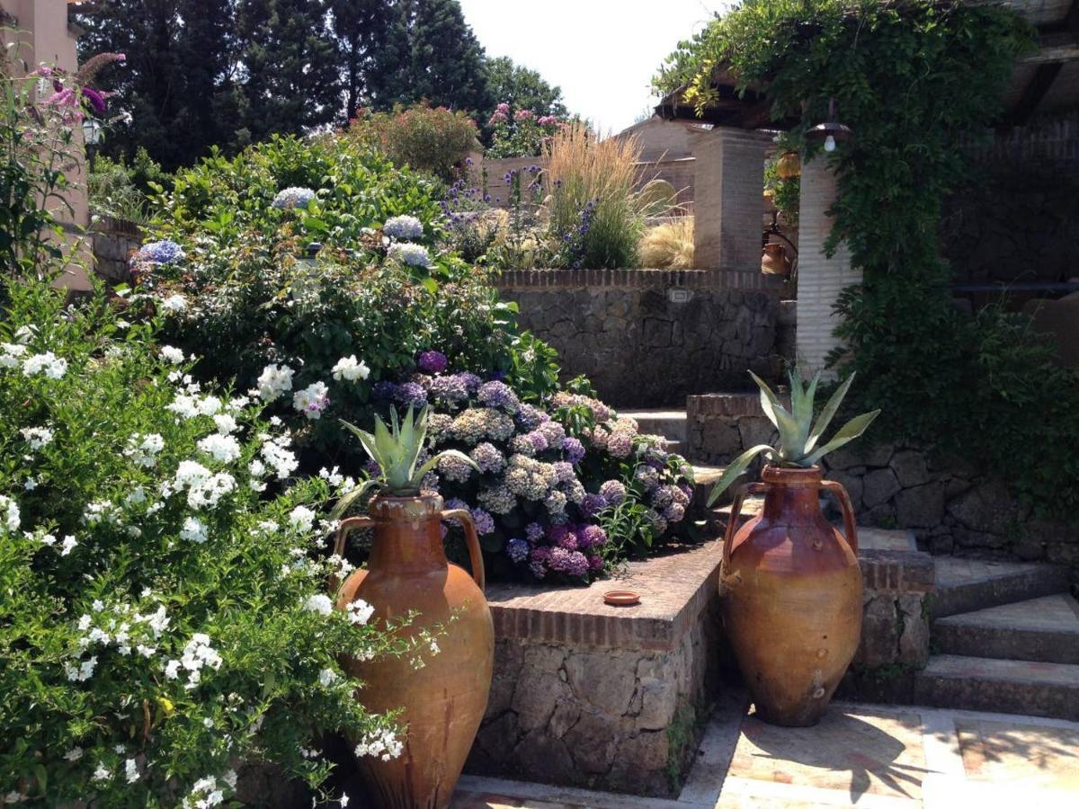 Olivella Villa Campagnano Di Roma Dış mekan fotoğraf