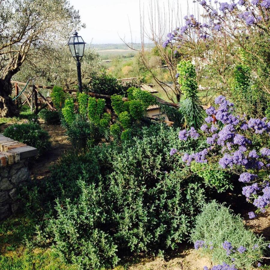 Olivella Villa Campagnano Di Roma Dış mekan fotoğraf