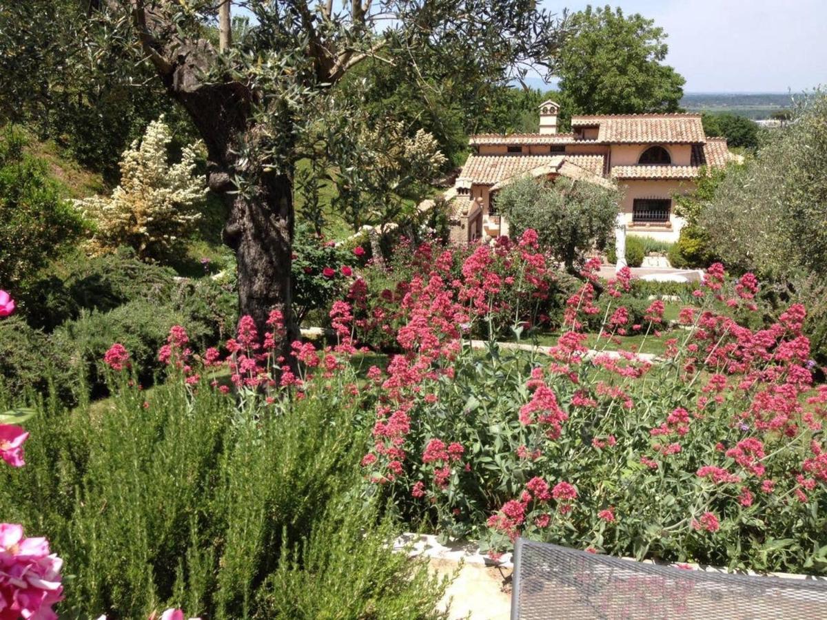 Olivella Villa Campagnano Di Roma Dış mekan fotoğraf