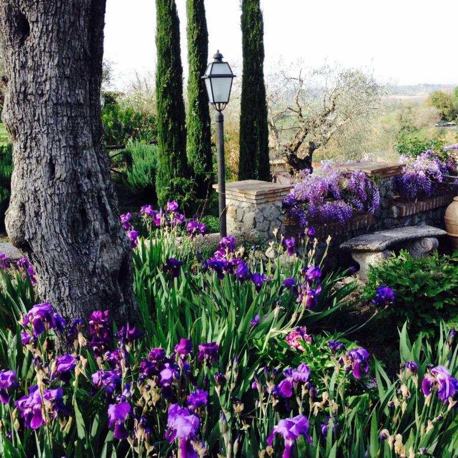 Olivella Villa Campagnano Di Roma Dış mekan fotoğraf