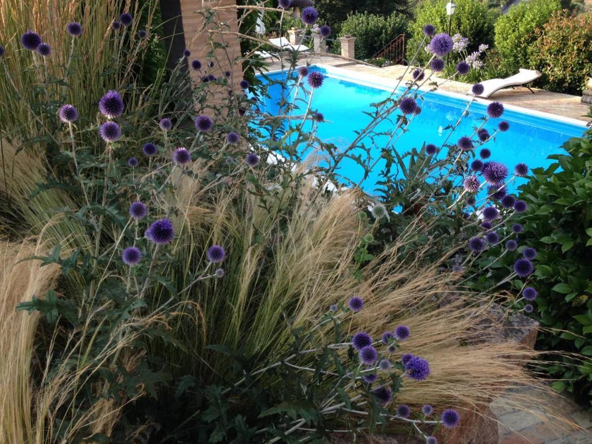 Olivella Villa Campagnano Di Roma Dış mekan fotoğraf
